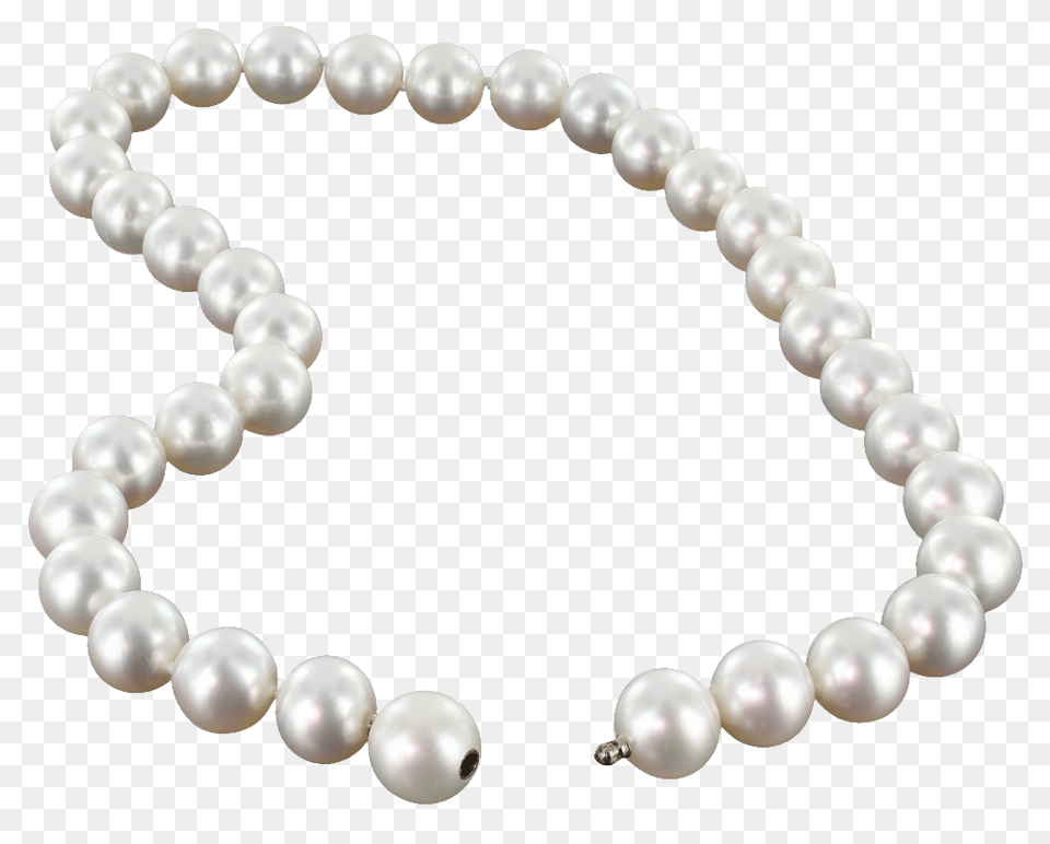 Pearl, Accessories, Jewelry, Bracelet, Necklace Free Transparent Png