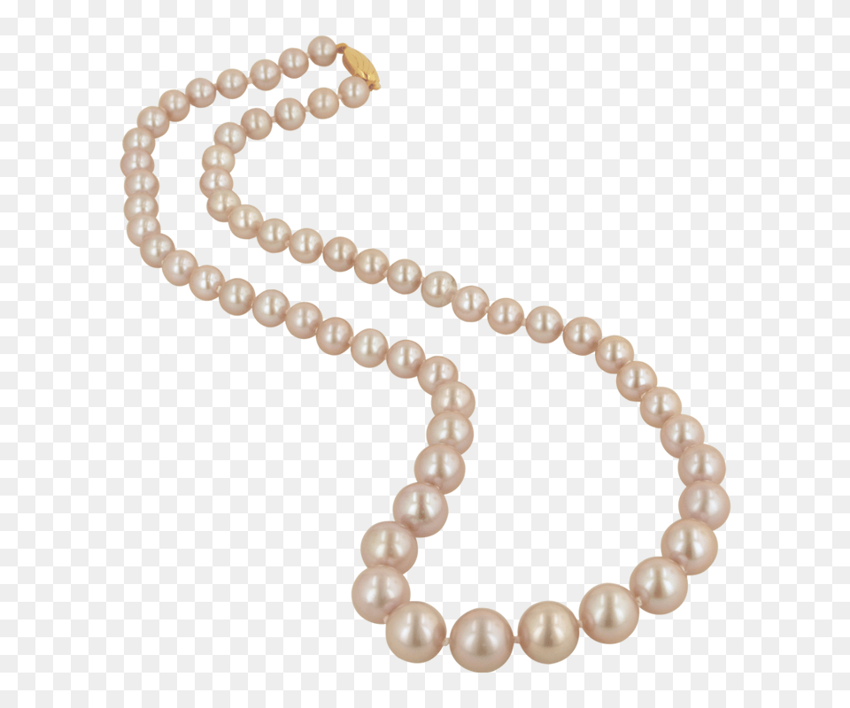 Pearl, Accessories, Jewelry, Necklace, Bead Free Png Download