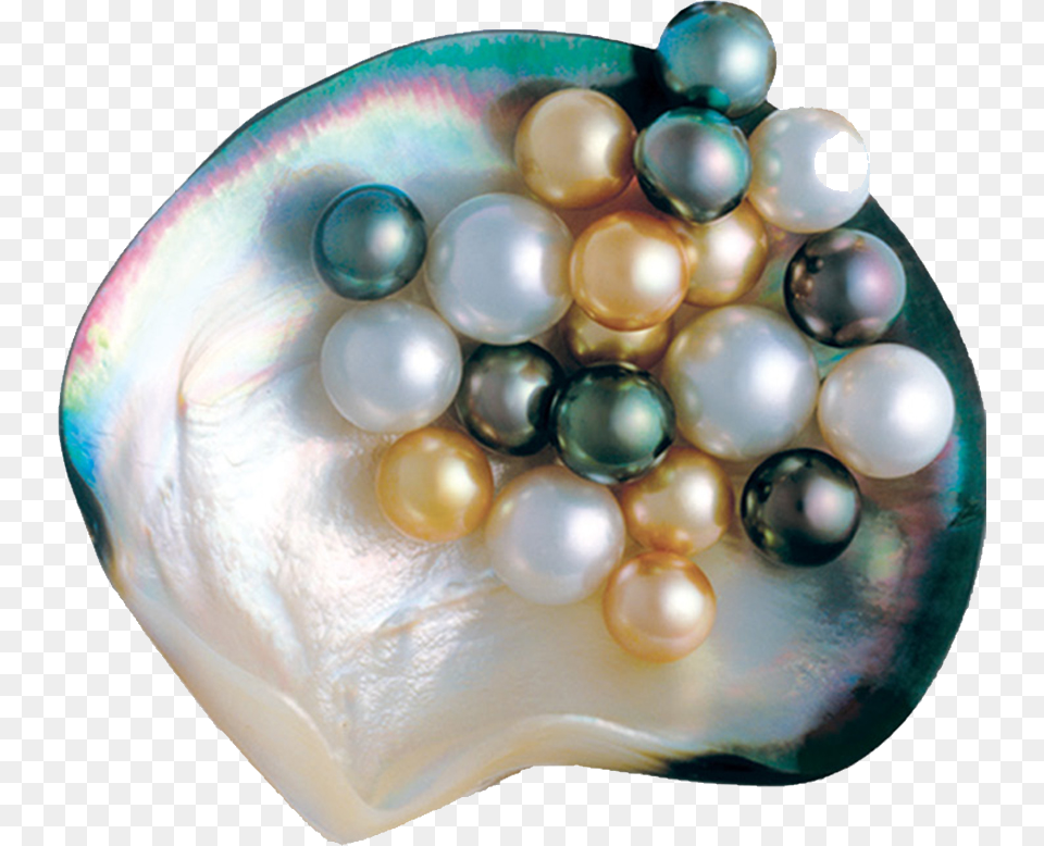 Pearl, Accessories, Jewelry, Candle Png Image