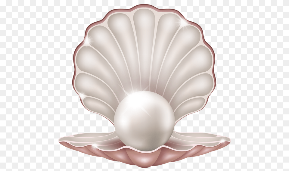 Pearl, Accessories, Jewelry, Clam, Food Free Png Download