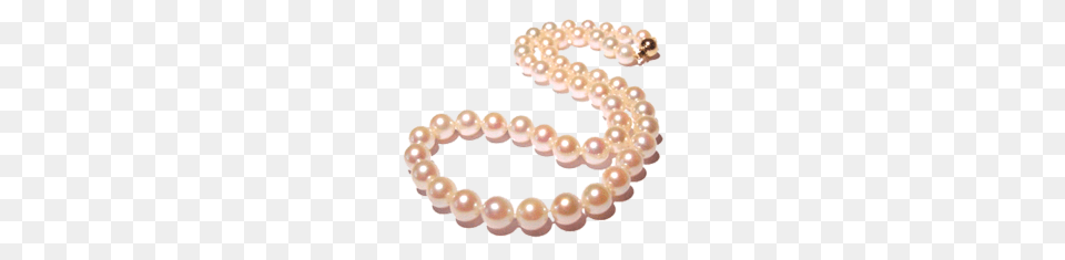 Pearl, Accessories, Jewelry, Necklace Free Png