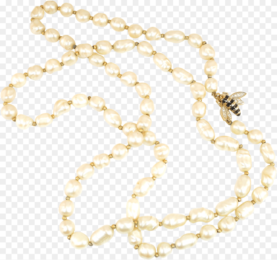 Pearl, Accessories, Jewelry, Necklace, Bead Png Image