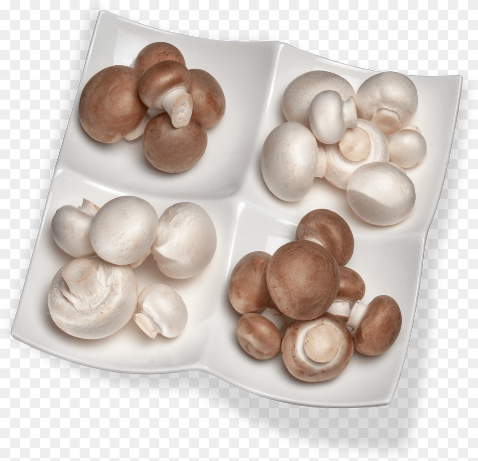 Pearl, Egg, Food, Plate, Fungus Free Transparent Png