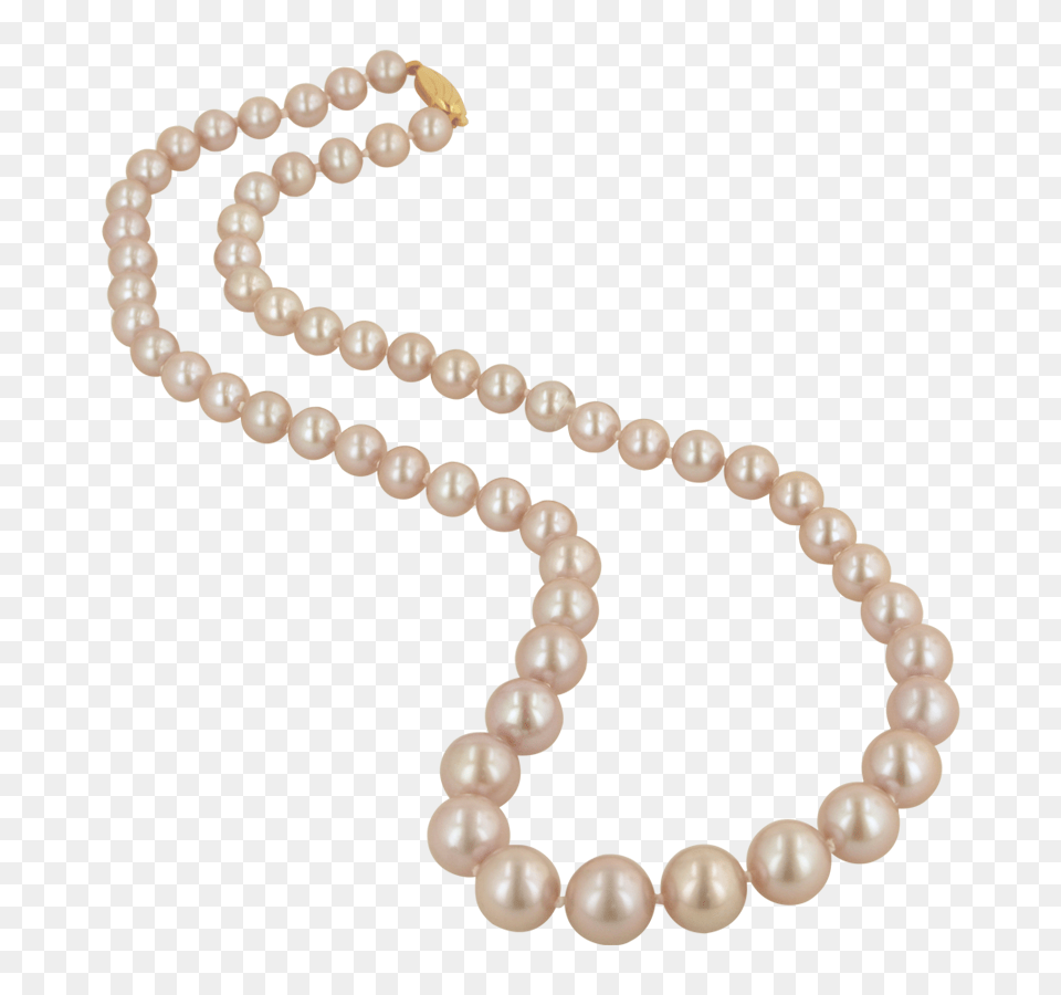 Pearl, Accessories, Jewelry, Necklace, Bead Png Image