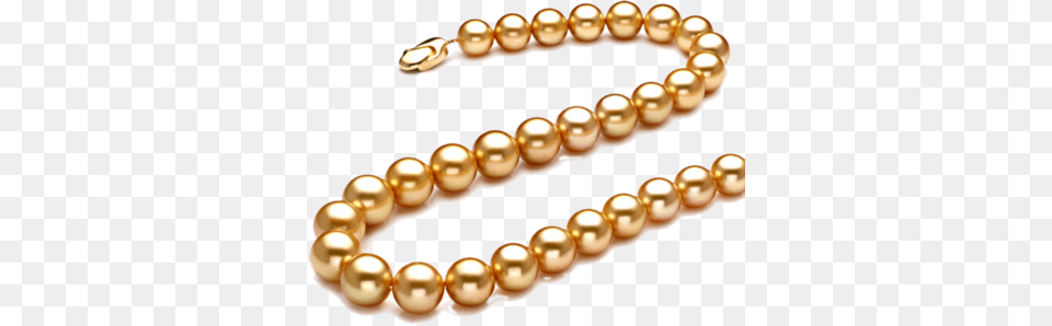 Pearl, Accessories, Jewelry, Necklace Png