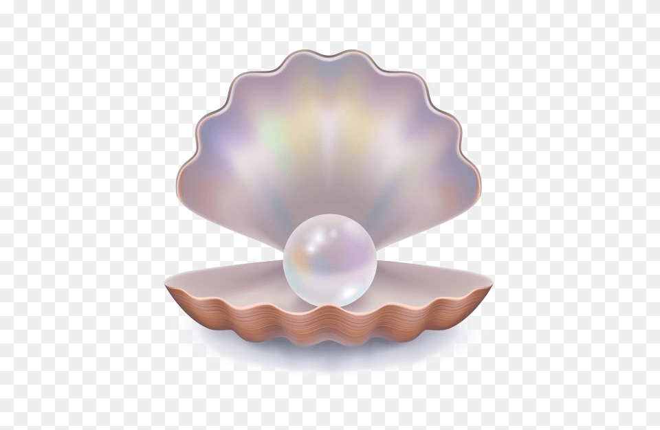 Pearl Background, Accessories, Jewelry, Invertebrate, Animal Png