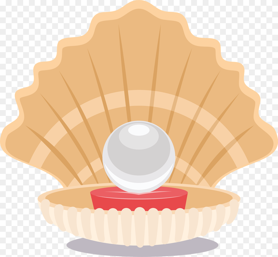 Pearl Clipart, Seashell, Animal, Clam, Food Png