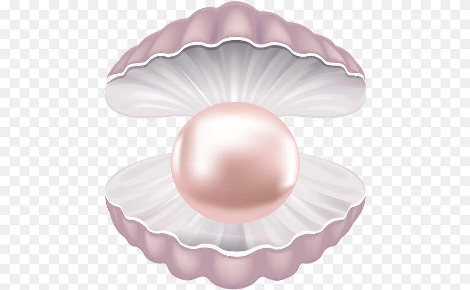 Pearl Clipart Pearl In The Shell Clipart, Accessories, Jewelry Free Png