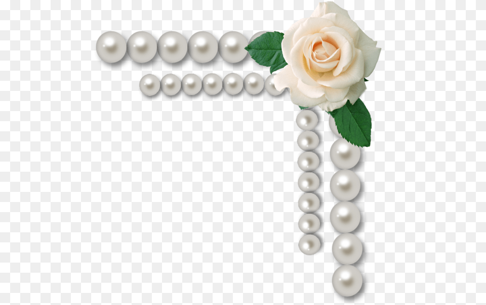 Pearl Frame Flowers Pearl With Flowers Frame, Accessories, Flower, Jewelry, Plant Png