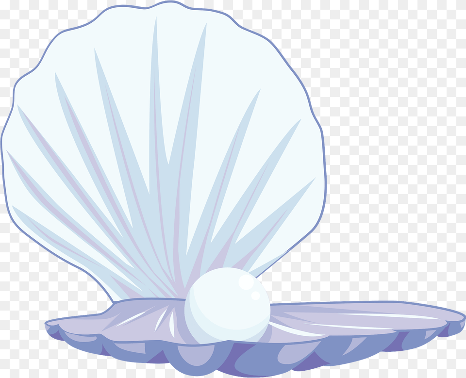 Pearl Gemstone In A Shell Clipart, Animal, Invertebrate, Sea Life, Seashell Png Image