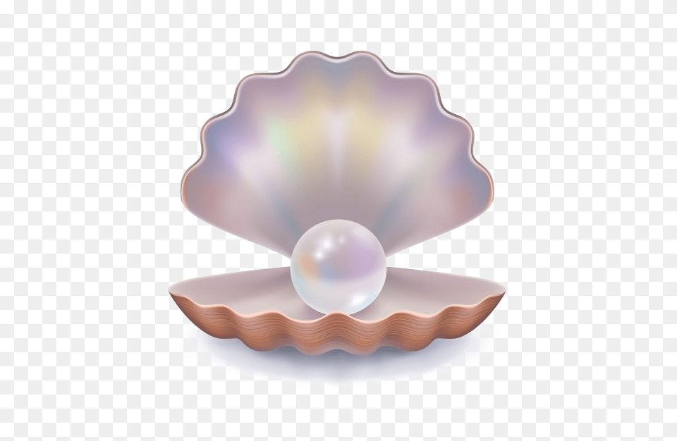 Pearl Transparent Background Clam Shell, Accessories, Jewelry, Seafood, Sea Life Png Image
