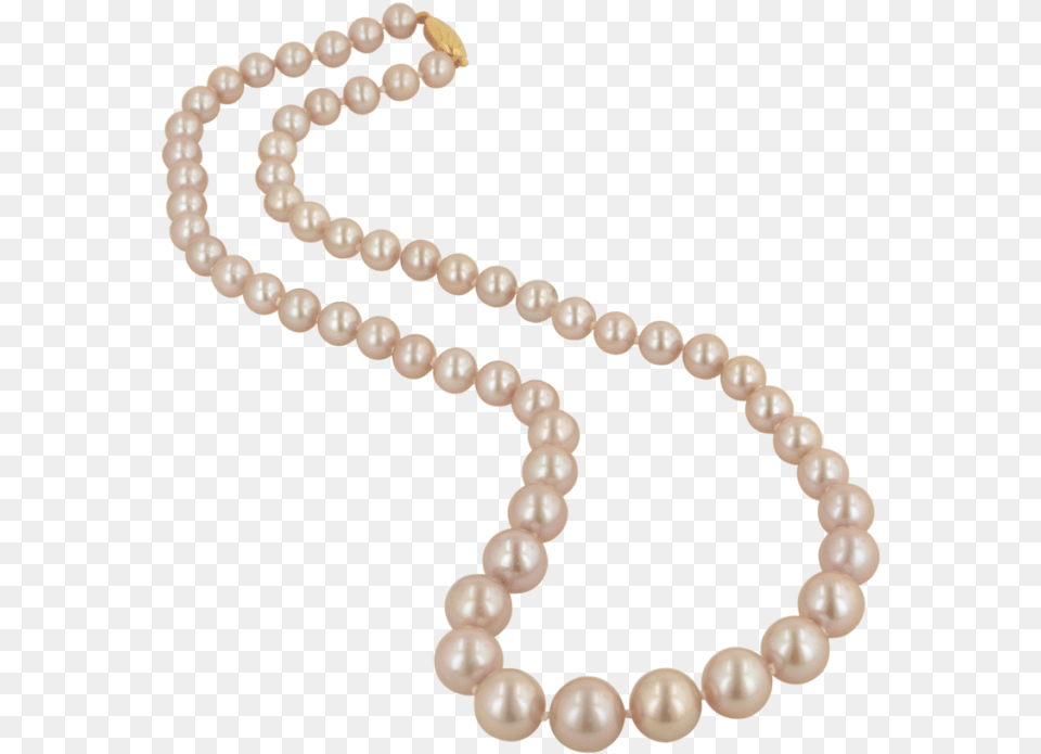 Pearl Necklace, Accessories, Jewelry, Bead, Bead Necklace Png