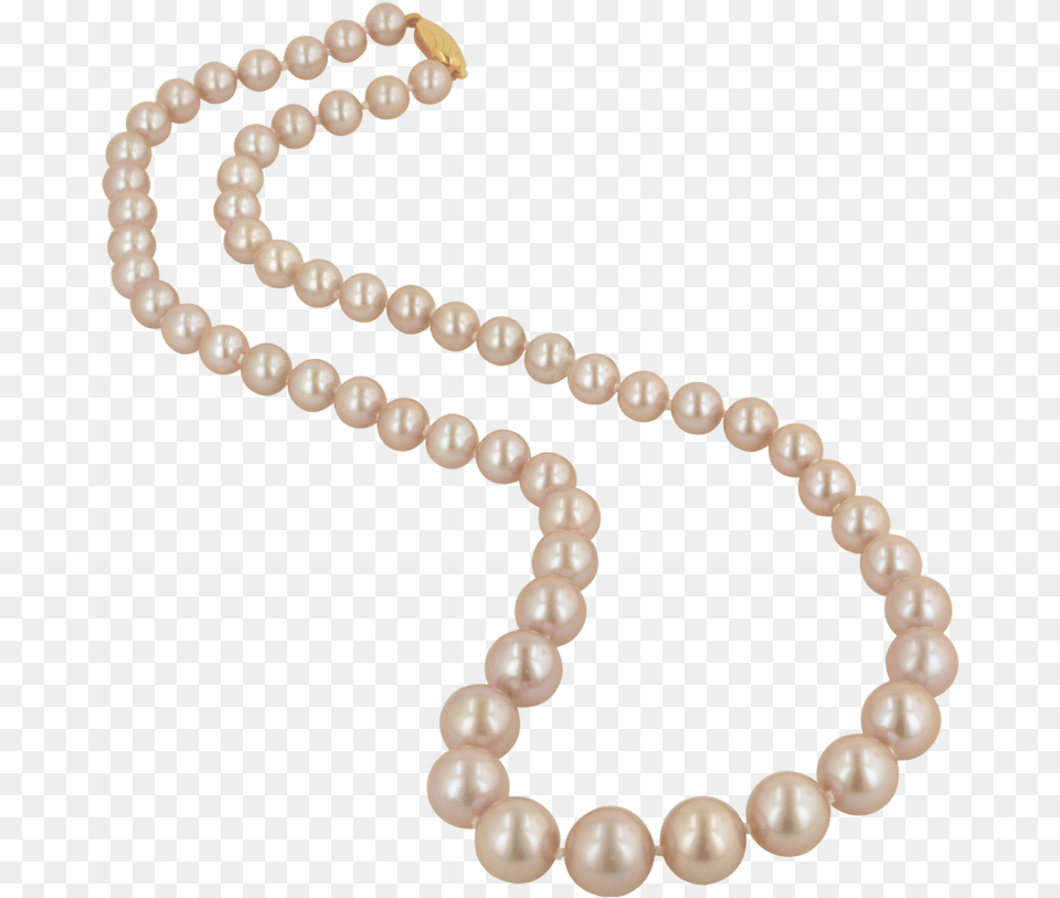 Pearl Necklace Accessories, Jewelry, Bead, Bead Necklace Free Transparent Png