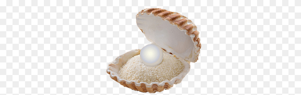 Pearl On A Sandbed In A Shell, Accessories, Seafood, Sea Life, Invertebrate Free Transparent Png