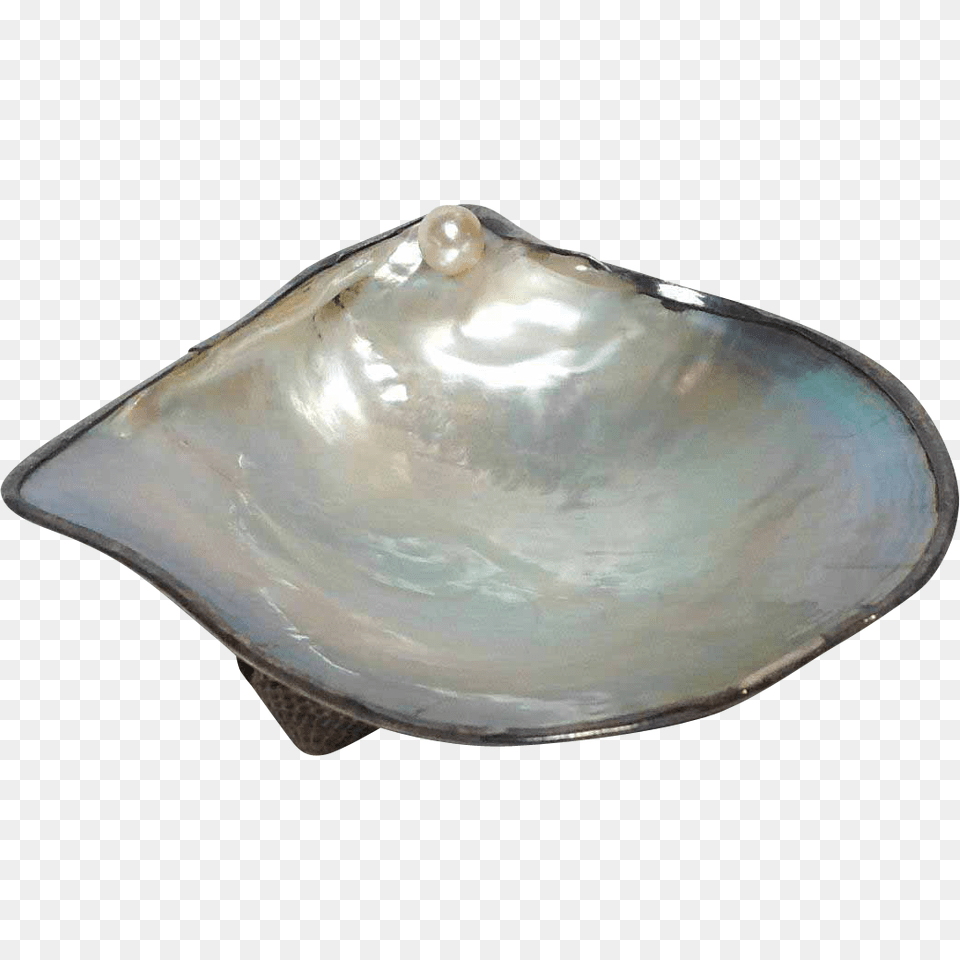 Pearl Oyster Shell Dish With Sterling Japanese Collectibles, Animal, Clam, Food, Invertebrate Free Png