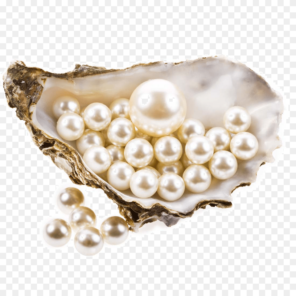 Pearl Background Pearls, Accessories, Jewelry, Necklace Free Transparent Png