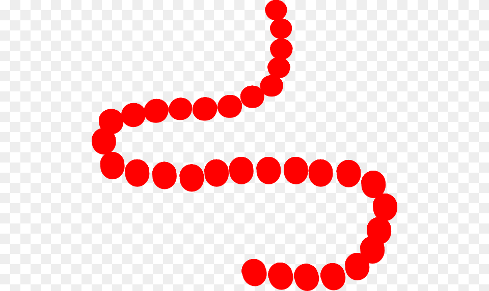 Pearls Clip Art Free Png Download