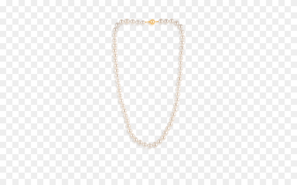 Pearls Vector Strand Chain, Accessories, Bead, Bead Necklace, Jewelry Png Image