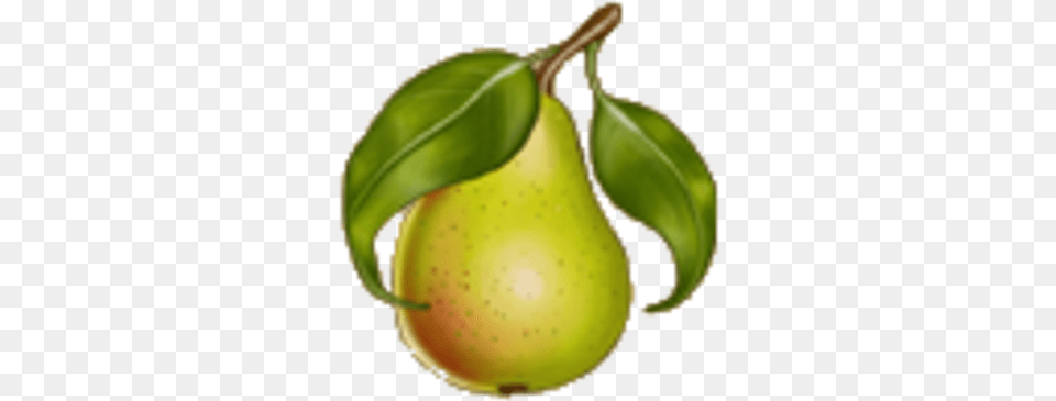 Pears Asian Pear, Food, Fruit, Plant, Produce Png Image