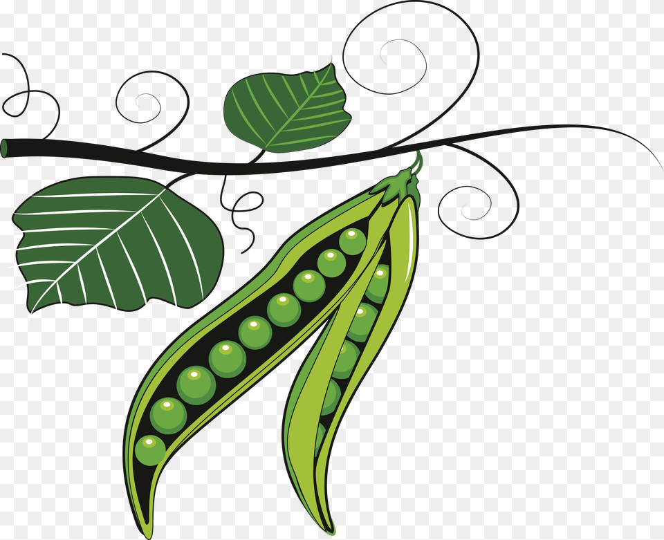 Peas Clipart Cute Green Peas Clip Art, Food, Pea, Plant, Produce Png Image