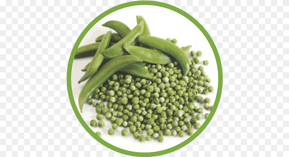 Peas Md Circle, Food, Pea, Plant, Produce Free Png Download