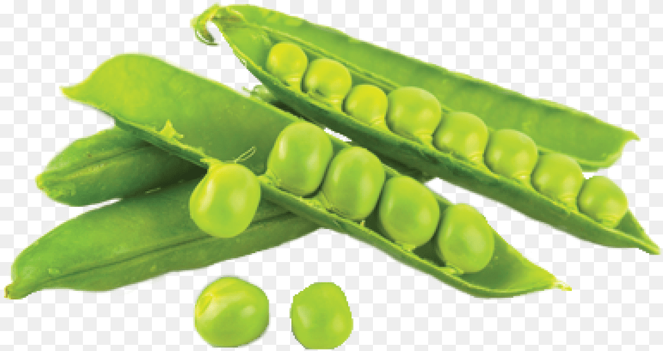 Peas Pick It Try Like Preserve Makanan Yang Mengandung Protein Nabati, Ball, Tennis Ball, Tennis, Sport Free Png