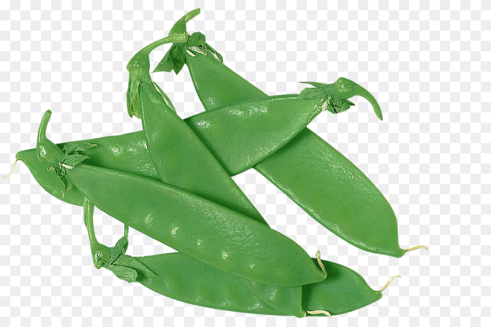 Peas Step, Food, Pea, Plant, Produce Free Png