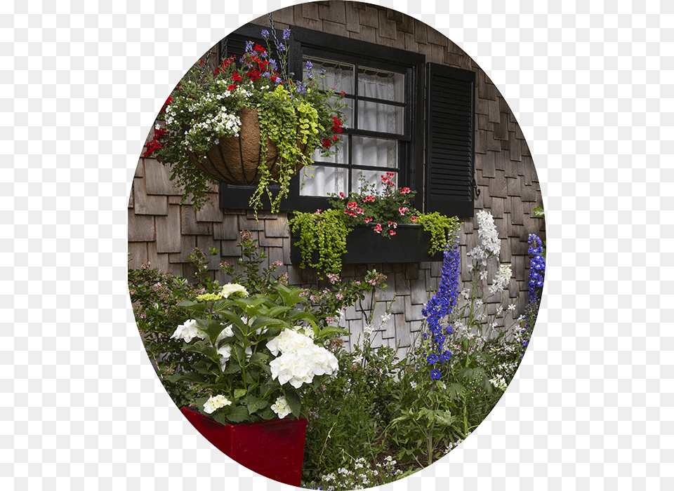 Pebble Beach Iii This Garden Renewal Was Designed, Flower, Potted Plant, Plant, Geranium Png