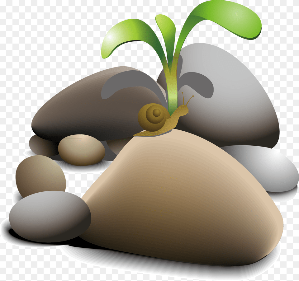 Pebble Clip Art Snail Planta En Piedras, Plant, Sprout, Rock Free Transparent Png