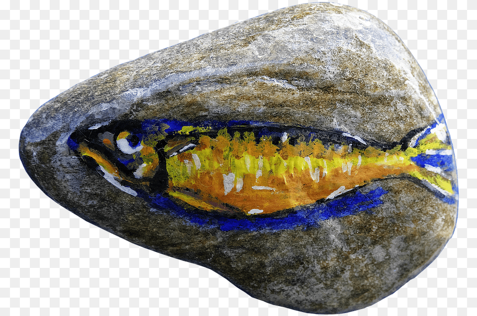 Pebble Painting Fish Colorful Art Drawing Painted, Accessories, Gemstone, Jewelry, Rock Png Image