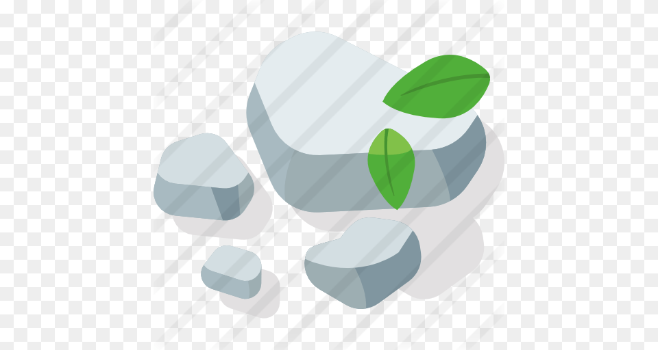 Pebbles, Herbal, Herbs, Leaf, Plant Png