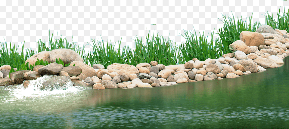 Pebbles Clipart Underwater Plant Transparent Background Pond, Nature, Outdoors, Water, Pebble Free Png
