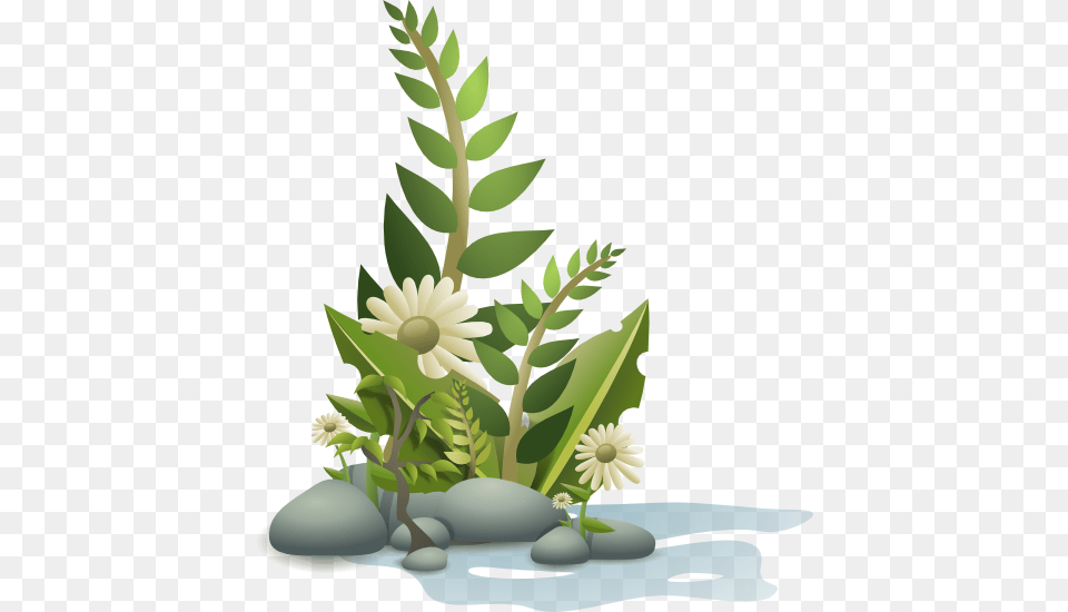 Pebbles Plants Plants Clipart, Art, Ikebana, Herbs, Herbal Png Image