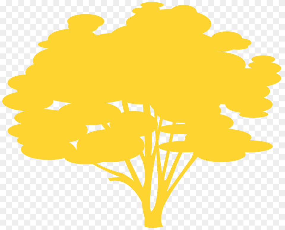 Pecan Silhouette, Flower, Plant, Art, Daffodil Png Image