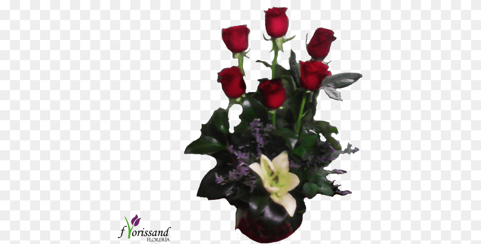 Pecerita Garden Roses, Flower, Flower Arrangement, Flower Bouquet, Plant Free Transparent Png