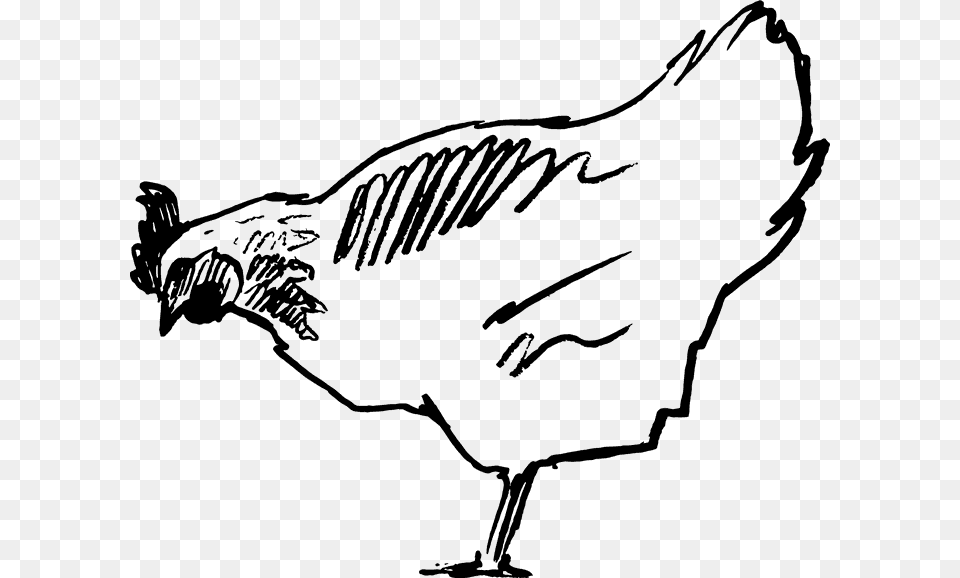 Pecking Chicken Rubber Stamp Pecking Chicken, Animal, Bird, Fowl, Hen Free Transparent Png