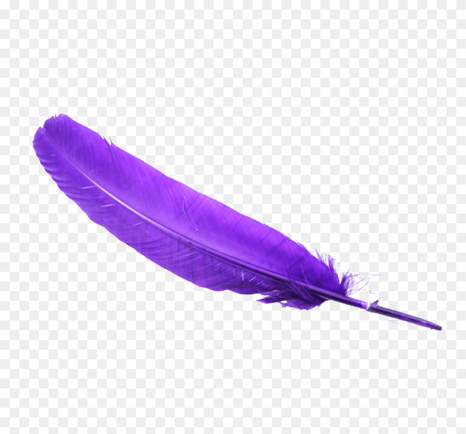 Ped Feather Chandelier, Bottle, Purple, Pen Free Png Download