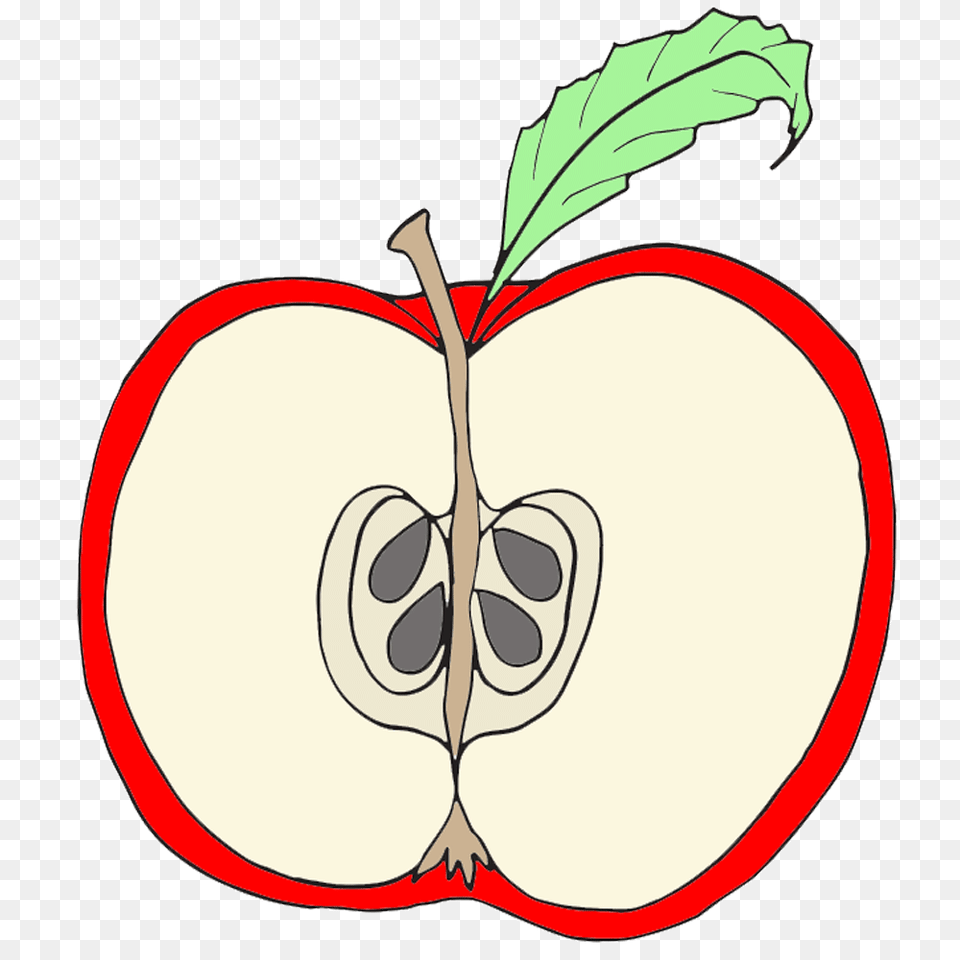 Pediatric Physical Therapy Clip Art, Apple, Food, Fruit, Plant Png Image