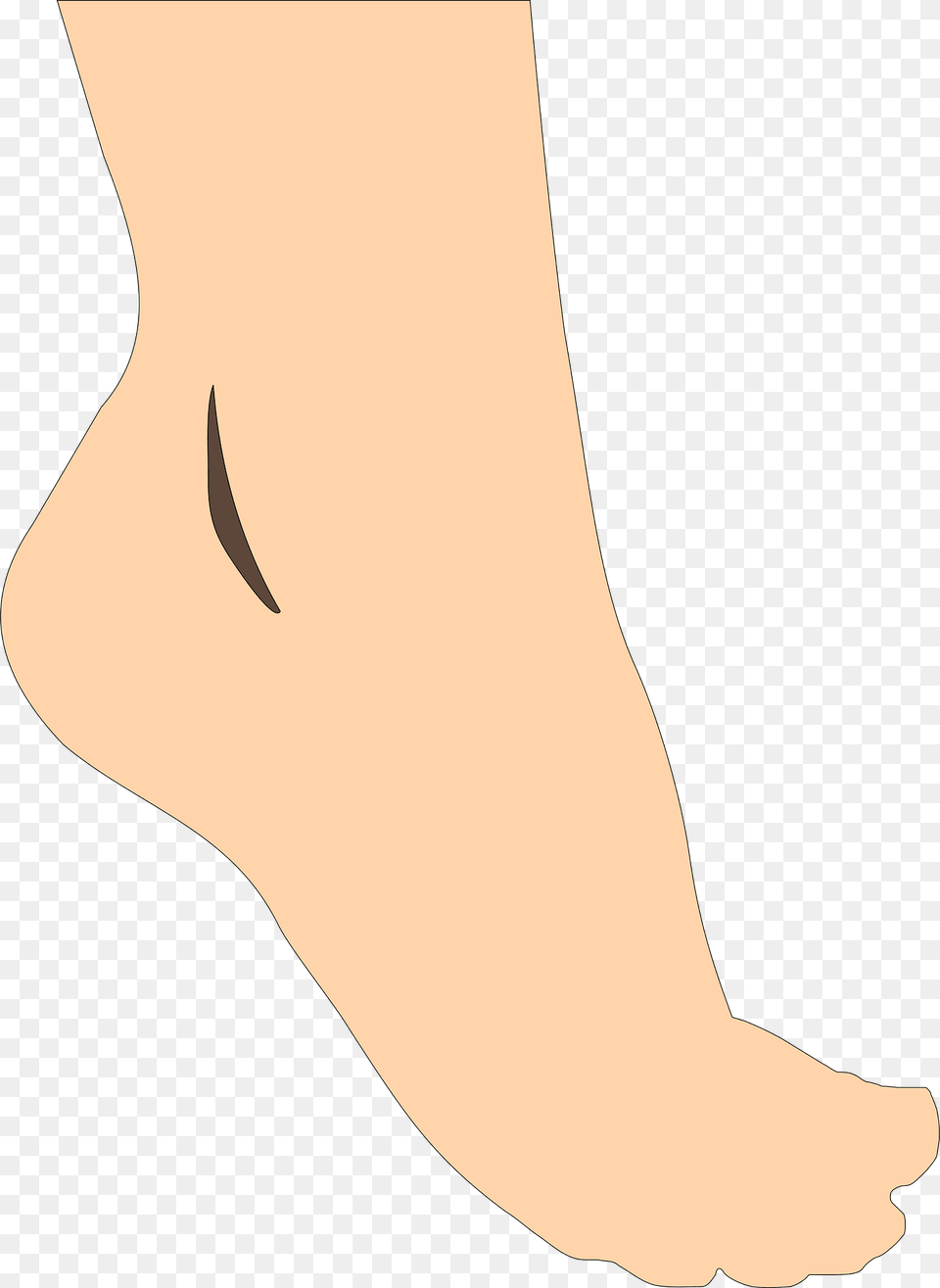 Pedicure Clipart, Ankle, Body Part, Person, Blade Png Image