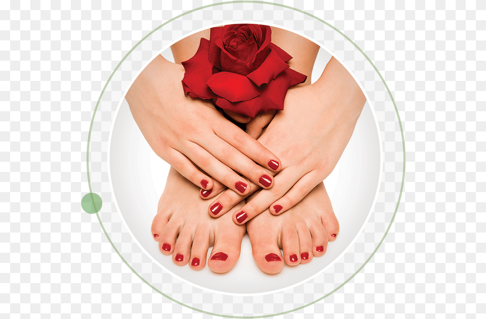 Pedicures Amp New Spa Options Gel Fingers And Toes, Flower, Plant, Rose, Body Part Free Png Download