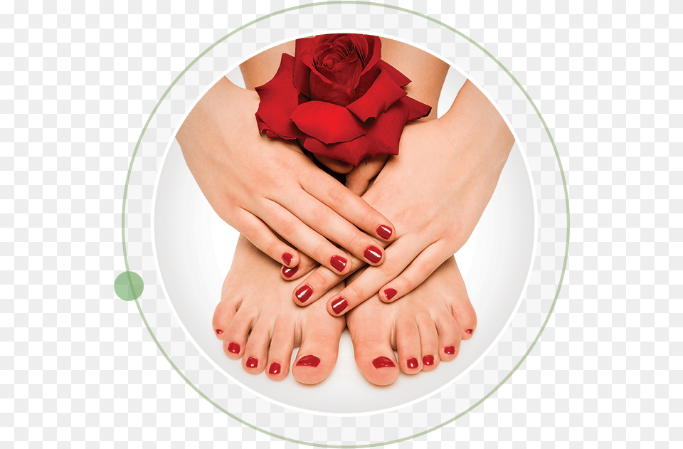 Pedicures Amp New Spa Options Spa Pedicure And Manicure, Flower, Plant, Rose, Body Part Free Png