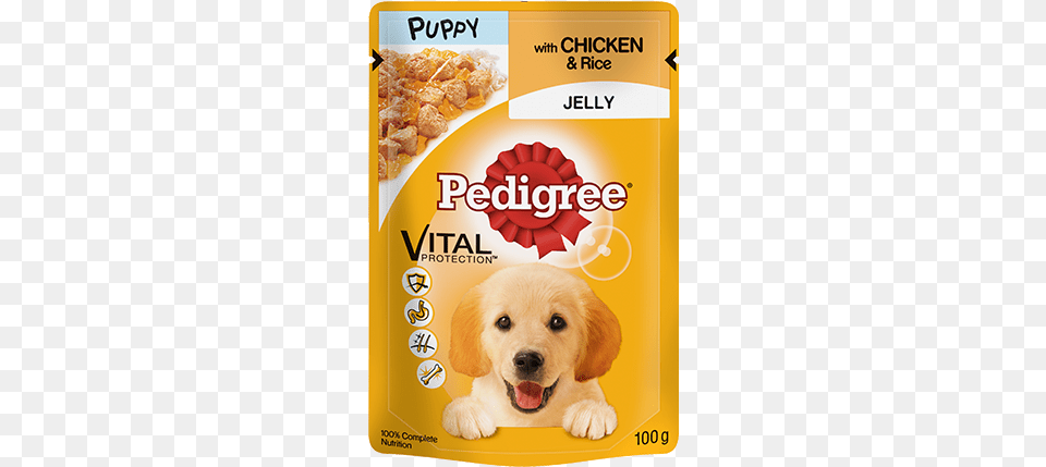 Pedigree Puppy Pouch With Chicken And Rice In Jelly Pedigree Puppy Pouch, Animal, Canine, Dog, Mammal Png Image