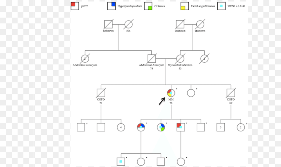 Pedigree The Black Arrow Indicates The Proband, Diagram, Circuit Diagram Free Png