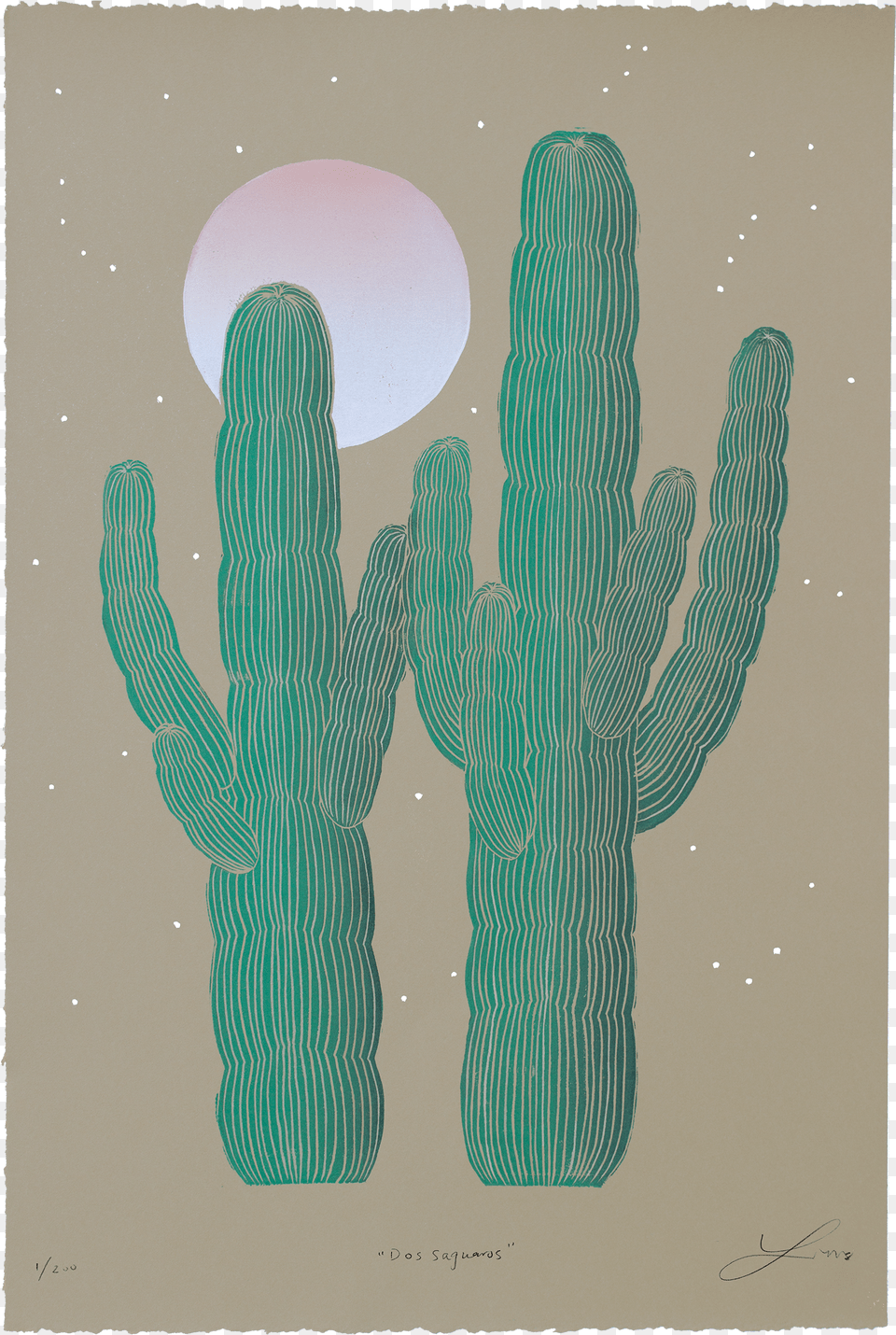 Pedro Cactussucculent Cactusillustration Illustration, American Football, Sport, Football, Football Helmet Free Png Download