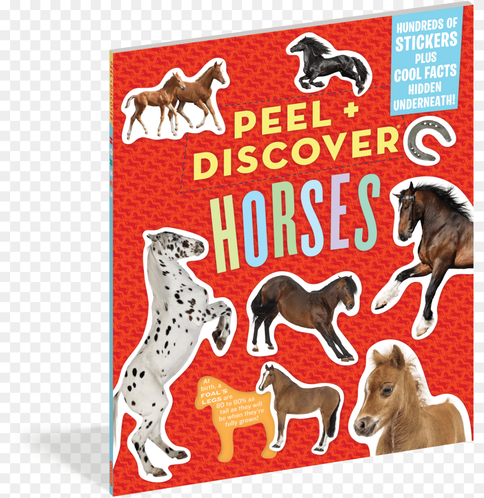 Peel Discover Peel Discover Horses, Advertisement, Poster, Pet, Mammal Png