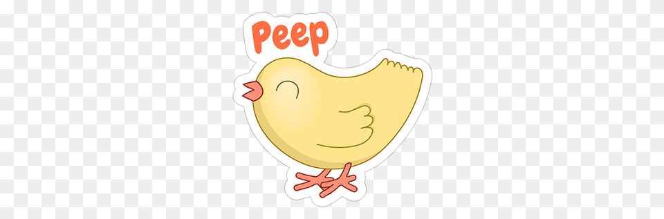 Peep, Animal, Bird, Chicken, Fowl Png