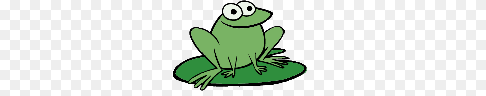 Peep And The Big Wide World Frog, Green, Amphibian, Animal, Wildlife Png Image
