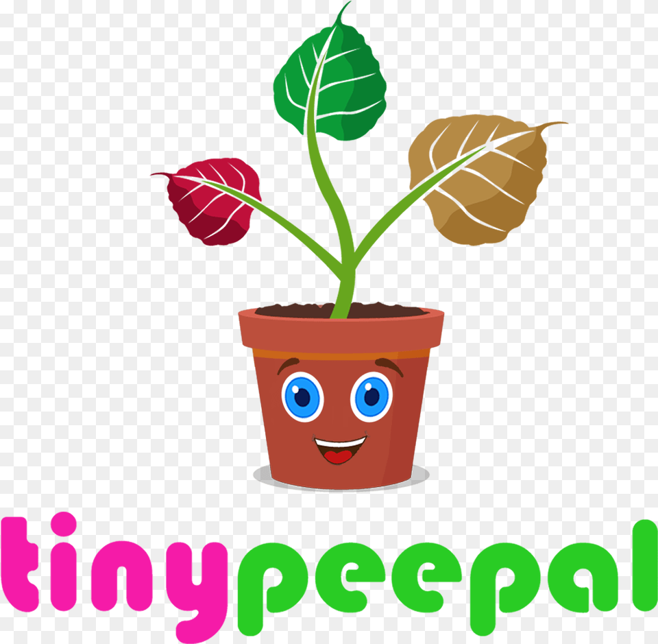 Peepal Has Its Roots In The Wisdom Of The East Philly Special Play Drawing, Plant, Potted Plant, Leaf, Pottery Free Transparent Png