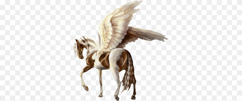 Pegasus, Animal, Horse, Mammal, Antelope Free Transparent Png