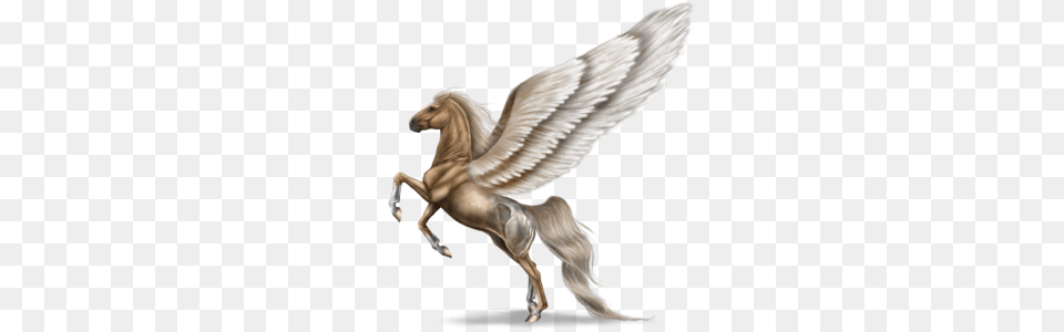 Pegasus, Animal, Bird, Angel Free Transparent Png